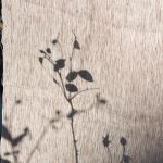 Ткань — Dedar — Wide Linen Signor Darcy — 012 daim