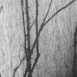 Ткань — Dedar — Wide Linen Signor Darcy — 009 perle