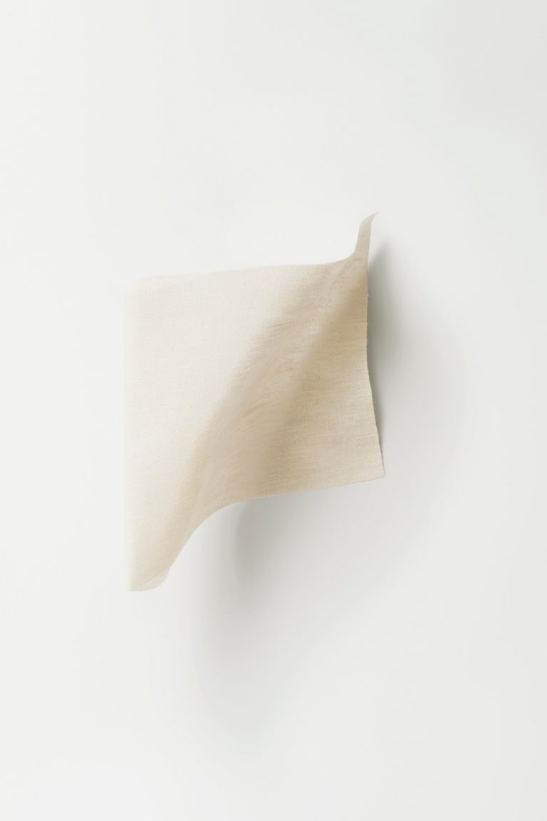 Ткань — Dedar — Wide Tussah Canvas — 001 avorio