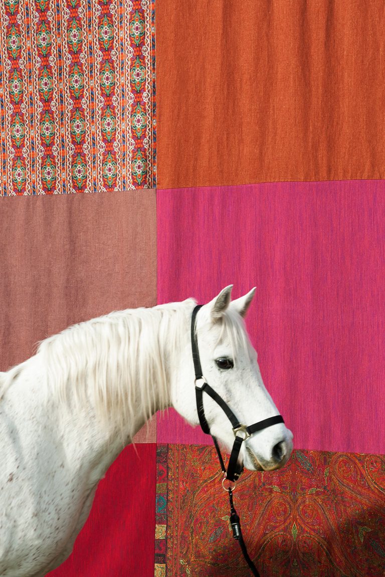 Ткань — Dedar — Tempera — 016 aubergine