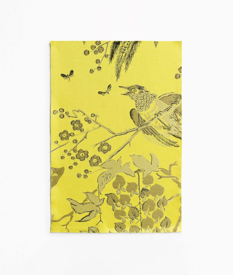 Ткань - Dedar - Silkbird Jacquard - 006 lime lac