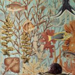 Обои — Casamance — Moorea Caraibe / multicouleurs — 71300240
