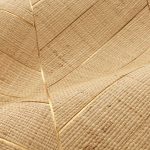 Обои — Casamance — Merina Naturel dore — 71250101