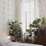 Обои Coordonne — Botanika 7800994 (коллекция Botanica)