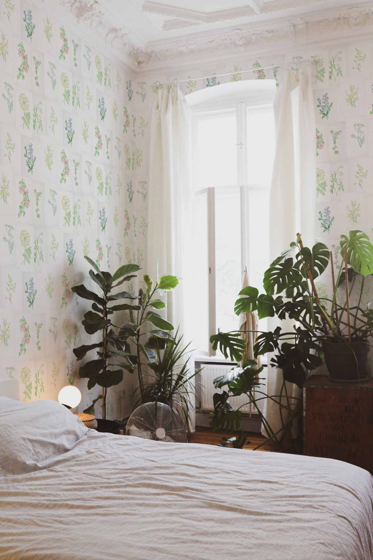 Обои Coordonne — Botanika 7800994 (коллекция Botanica)