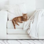 Ковёр Sabbia Beige — Carpet decor by Fargotex