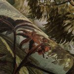 Обои Arte — PARADISIAC — Sandstorm — 97791