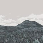 Обои — Nobilis — MARIE HARTIG — PAINTED WORLDS Canopy 2 — MHP21