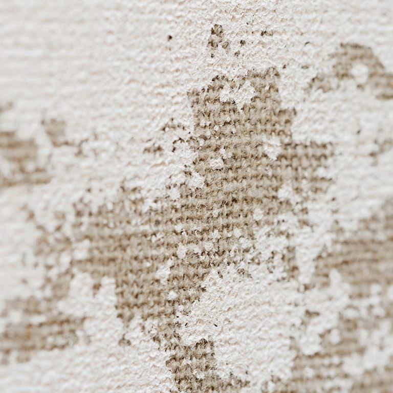 Обои Elitis — Toile d’artiste RM 1046 01 (Коллекция Lin Platre)