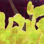 Обои Elitis — Memoire d’un jardin TP 283 02 (Коллекция Soleil levant )