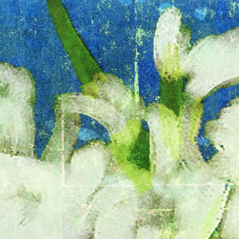 Обои Elitis — Memoire d’un jardin TP 283 03 (Коллекция Soleil levant )