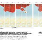Обои Elitis — Nouvelles orientales TP 291 01 (Коллекция Soleil levant )