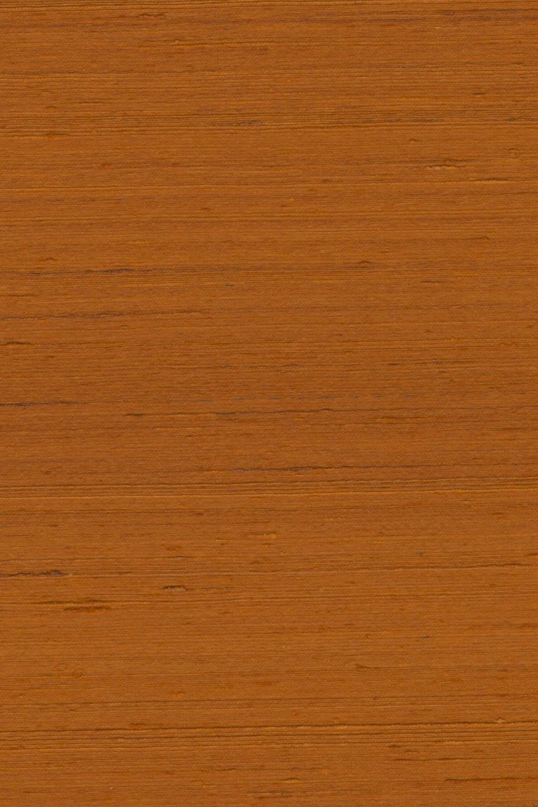 Обои Arte — MANDYA — Spice 35422 (коллекция Mysuru)
