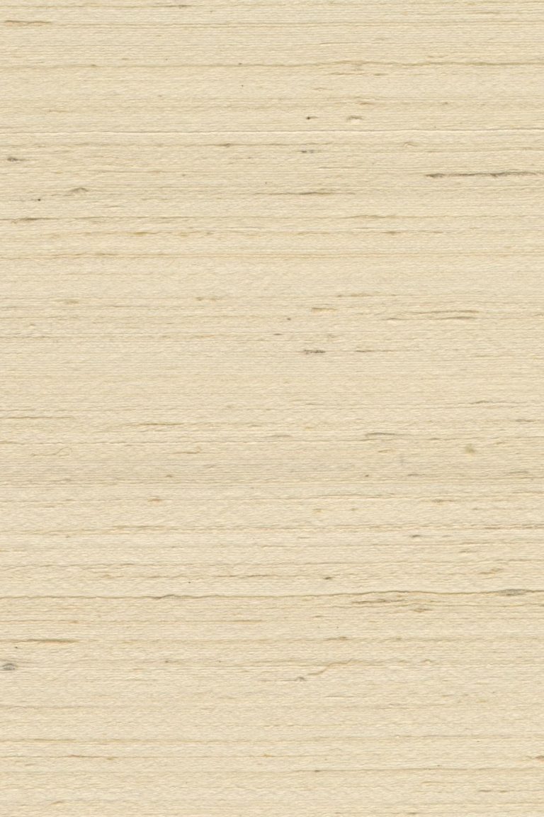 Обои Arte — MANDYA — Bone 35429 (коллекция Mysuru)