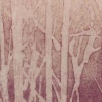 Обои Arte — ARBOR — Amarena 32371 (коллекция Ombre)