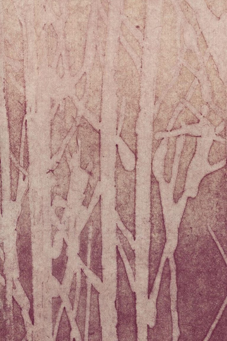 Обои Arte — ARBOR — Amarena 32371 (коллекция Ombre)