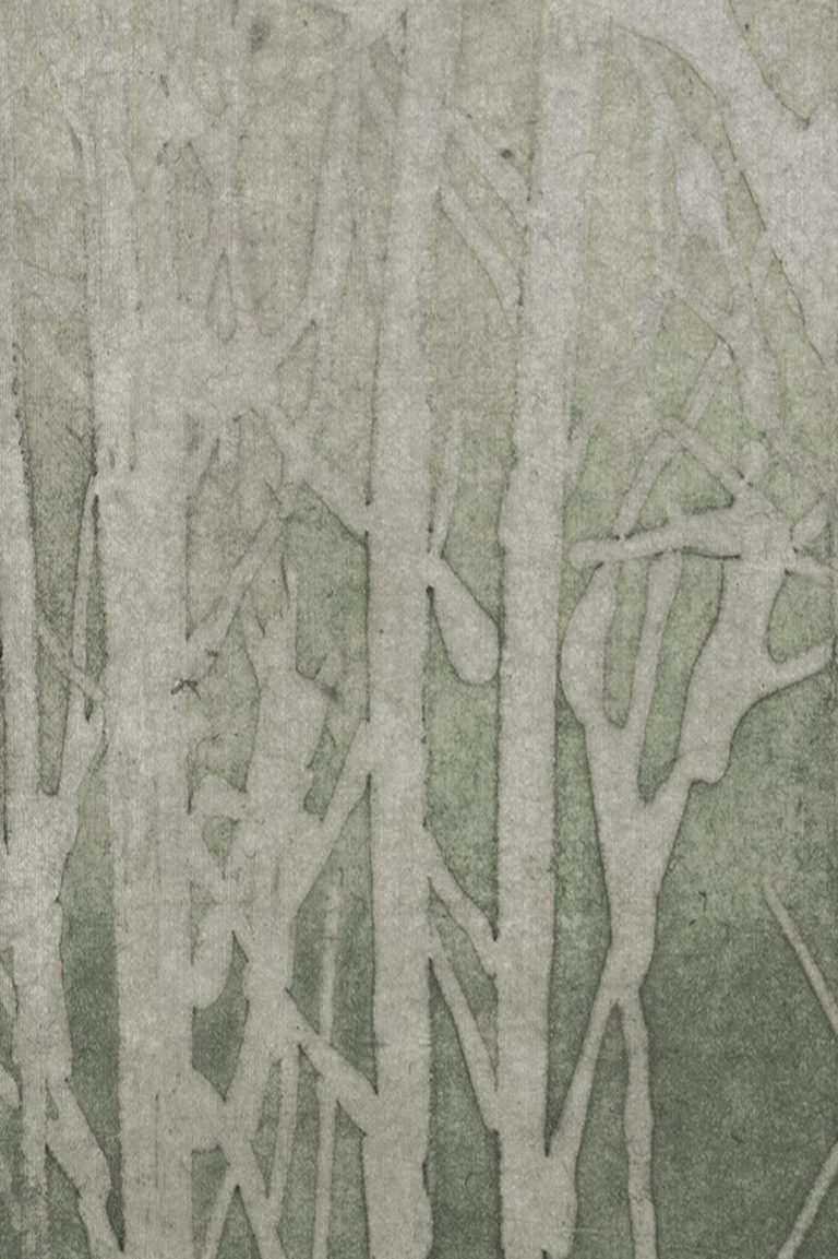 Обои Arte — ARBOR — Forest 32373 (коллекция Ombre)