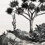 Обои — Nobilis — PANORAMA Yucca — PAN211