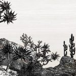 Обои — Nobilis — PANORAMA Yucca — PAN211