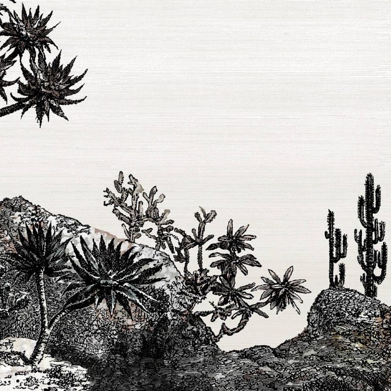 Обои — Nobilis — PANORAMA Yucca — PAN211