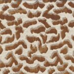 Ткань Casamance — Nimbus — Fauve — 10110233