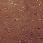 Ткань Casamance — Orta — Terracotta — 83590355