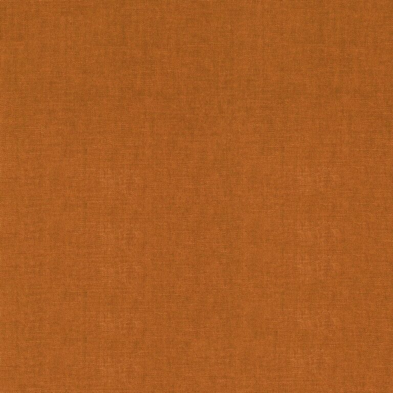 Ткань Casamance — Arizona — Badiane — E2521022