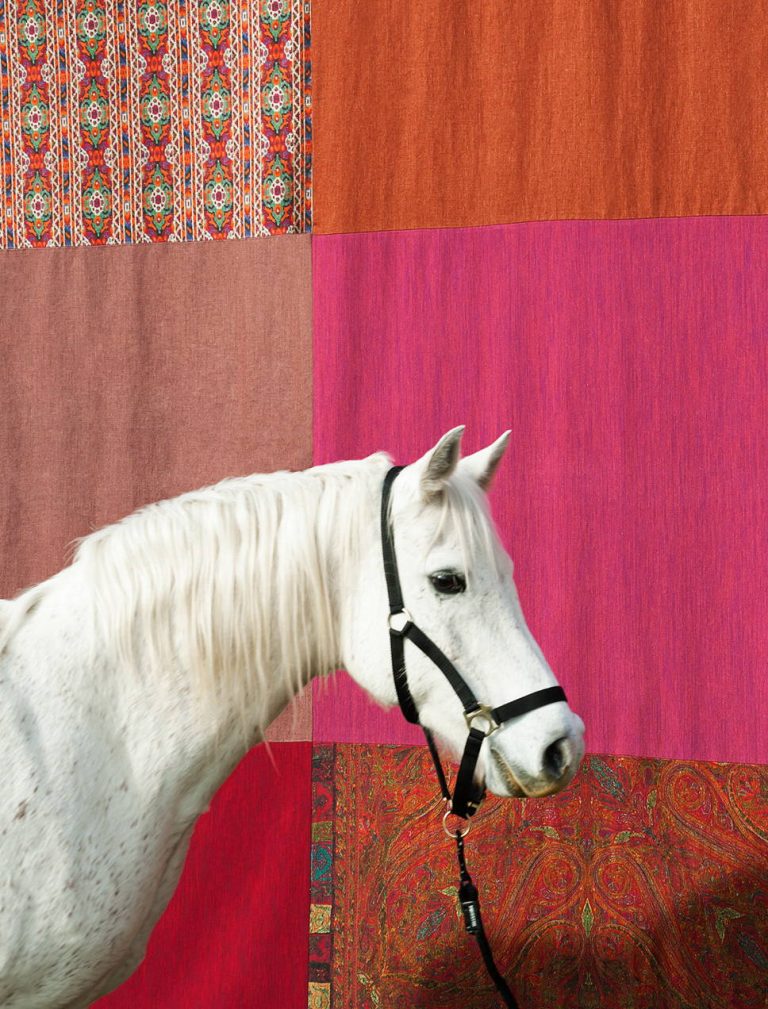Ткань — Dedar — Acacia — 012 rose indien — 00T2201400012
