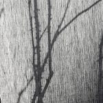 Ткань — Dedar — Wide Linen Signor Darcy — 010 charbon — 00T1903100010