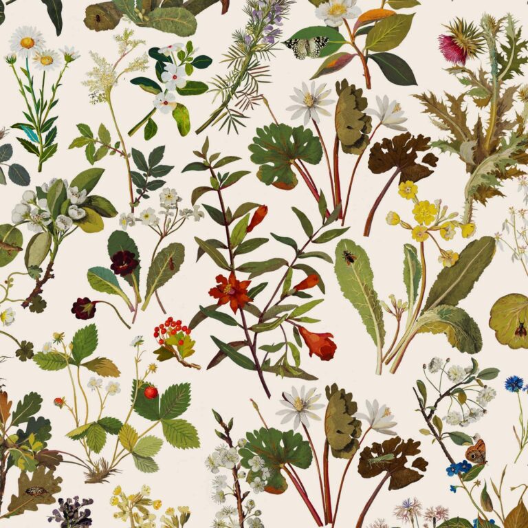 Обои House of Hackney — Herbarium — Ecru