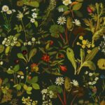 Обои House of Hackney — Herbarium — Forest Green-Spruce