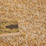 Ковёр Brink & Campman — Loom Calendula — 166813