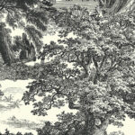 Обои Khroma — Salcey — Forest — DG2SAL1011