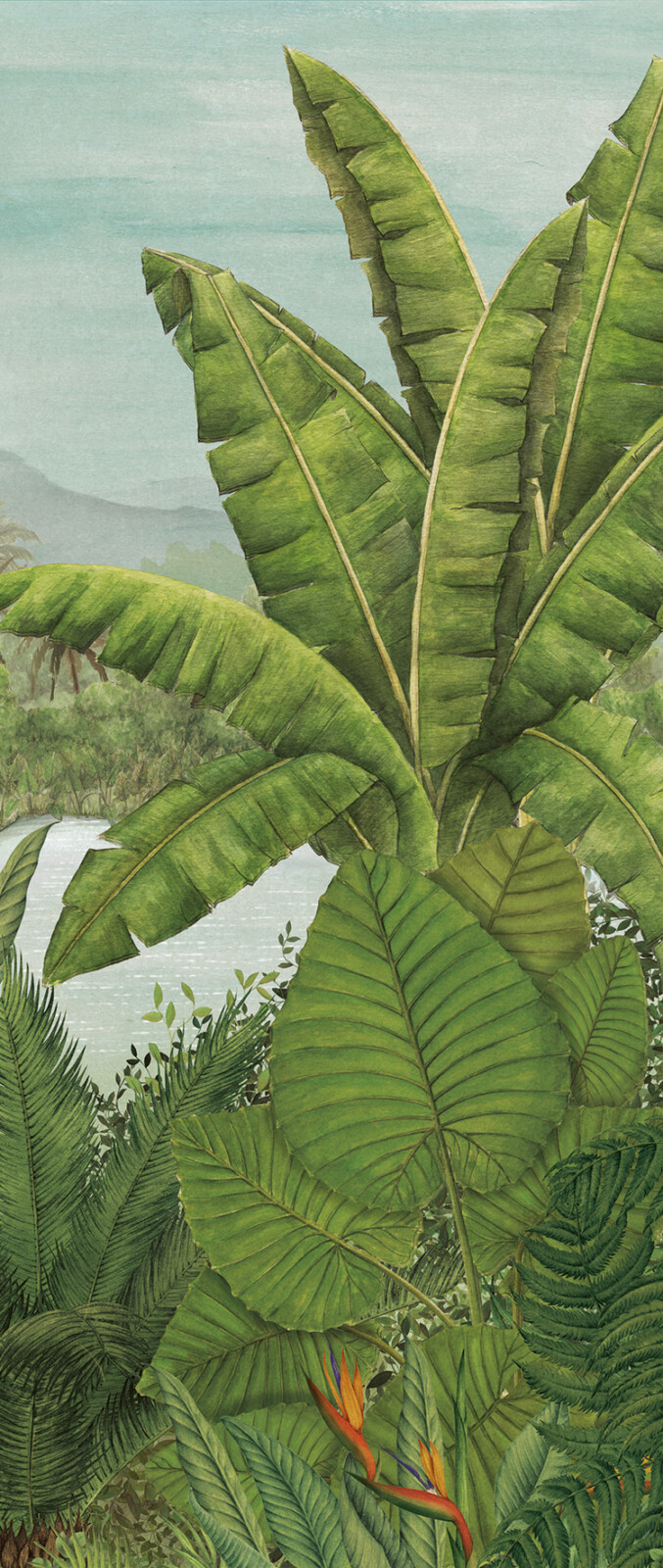 Обои Khroma — Rainforest — Bloom — DG3RAI1031