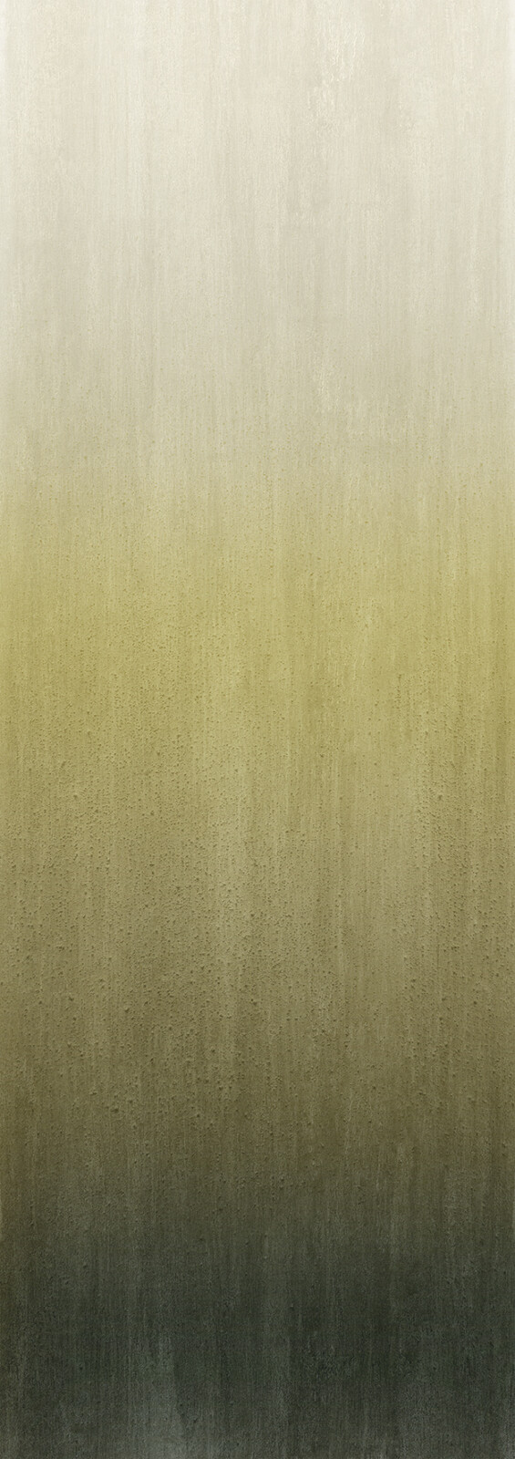 Обои Khroma — Cinera — Olive — DGCAL3041