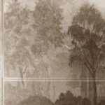 Обои Khroma — Saba — Sepia — DGSAB1011