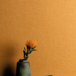 Обои Zoom — Gini — Ochre — OLI705