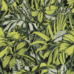 Обои Zoom — Bonita — Forest — ZEN102