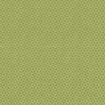 Обои Zoom — Cora — Forest — ZEN304
