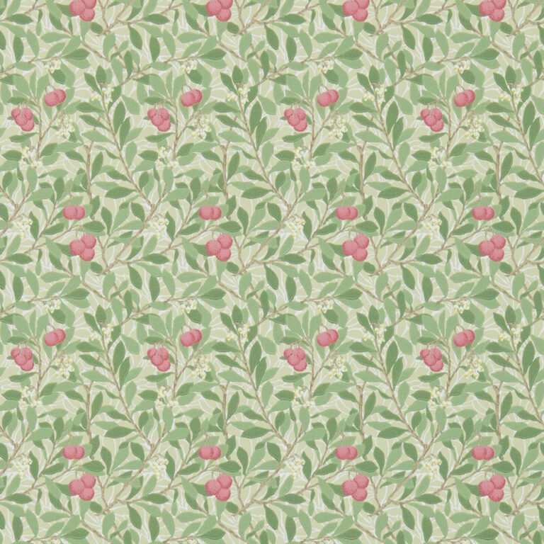 Обои Morris & Co — Arbutus — Olive/Pink — 214720