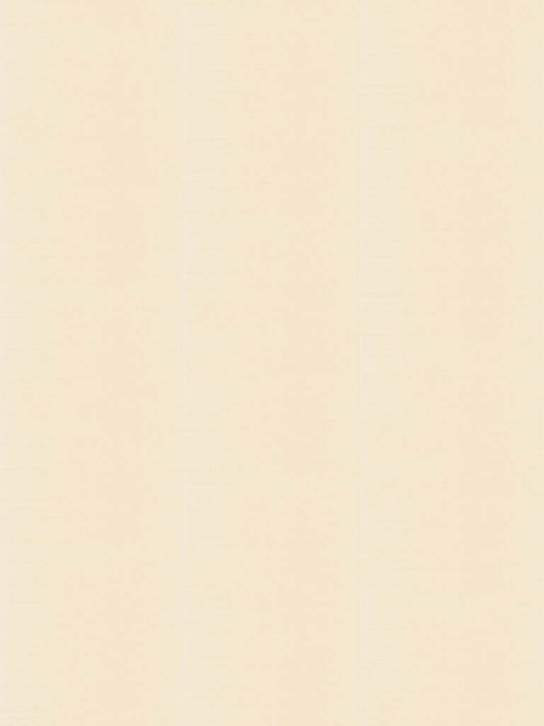 Обои Phillip Jeffries — Velvet Vibes — Book Page White — 9464