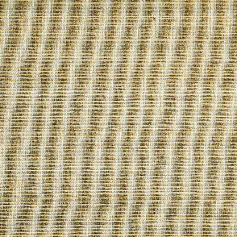 Обои Phillip Jeffries — Abaca Mist — Morning Rays — 4887