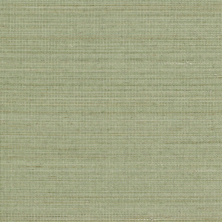 Обои Phillip Jeffries — Abaca Harvest — Calm Celadon — 23707