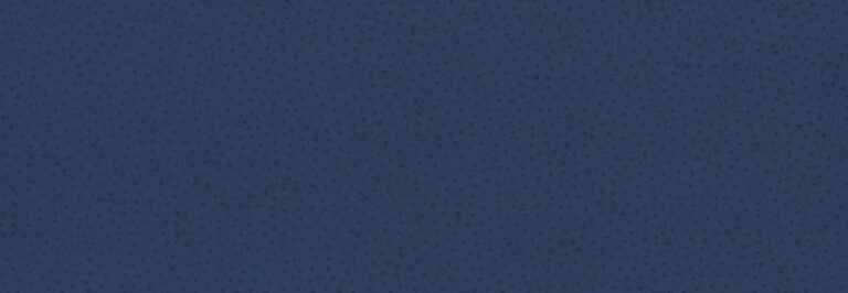 Обои Phillip Jeffries — Vinyl Ostrich — Bleu Nuit — 8115