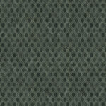 Обои Phillip Jeffries — Yacht Club — Emerald Regatta — 4237