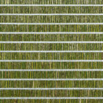 Обои Phillip Jeffries — Totally Tatami — Soft Rush Green — 1983