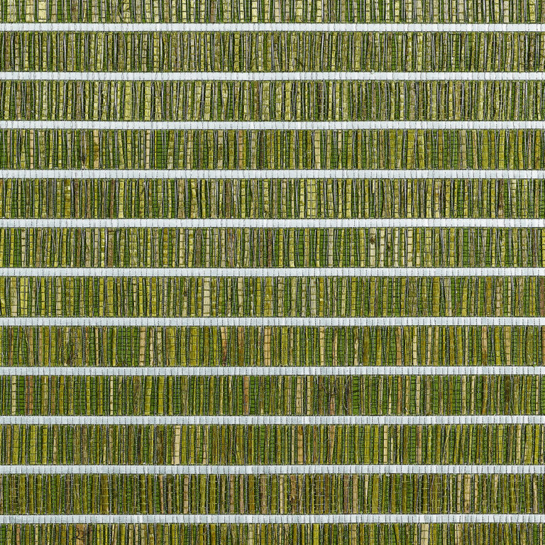 Обои Phillip Jeffries — Totally Tatami — Soft Rush Green — 1983