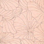 Обои Phillip Jeffries — Morning Meadow — Blush Anne — 42703