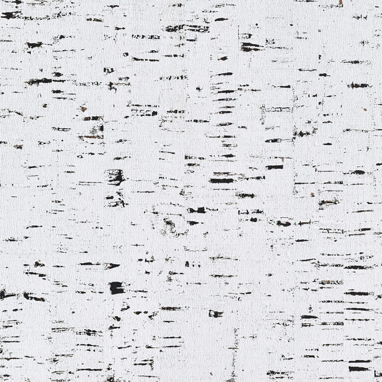 Обои Phillip Jeffries — Enchanted Woods — Bestowed Birch — 709