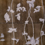 Обои Phillip Jeffries — Veranda Vines — Sterling Root — 43803